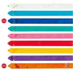 Cinta Chacott Lisa 6m