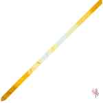 Cinta Chacott Multicolor GOLD