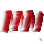 Cinta Iniciación Bicolor Blanca-Roja