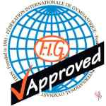 Cinta Archè 5m Violeta-Fucsia-Verde-Verde Claro - Imagen 4