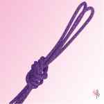 Cuerda Violeta Laminas Oro Pastorelli